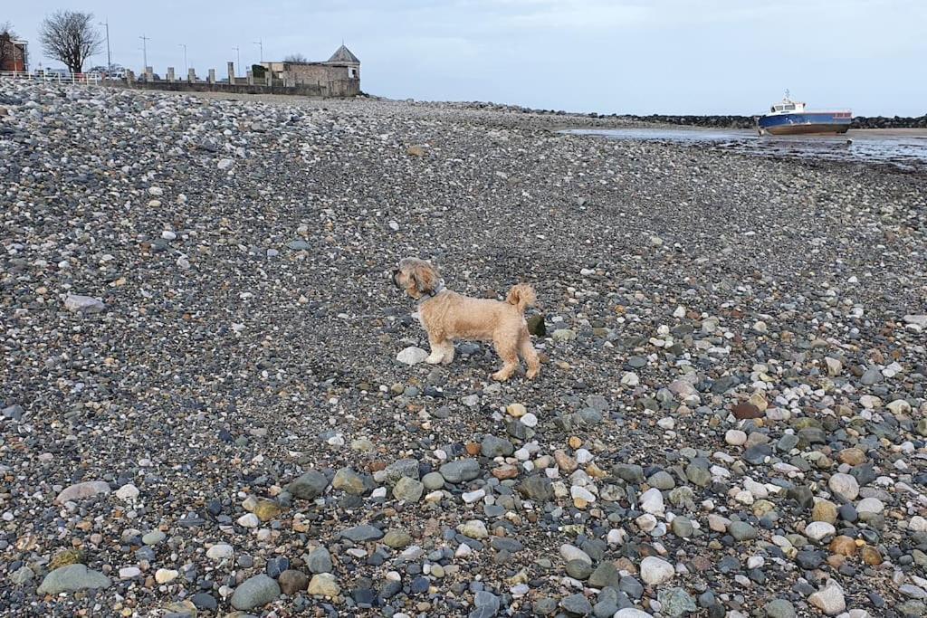 Welcome To The Beach House! Rhôs-on-Sea Exteriör bild